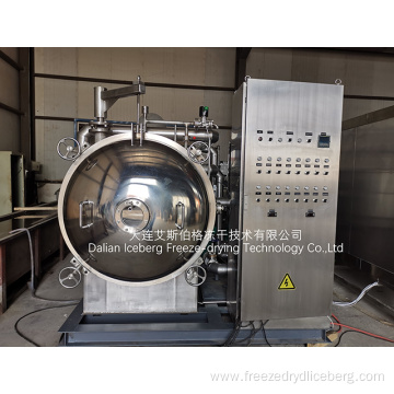 Vacuum Freeze Drying Pilot Plant